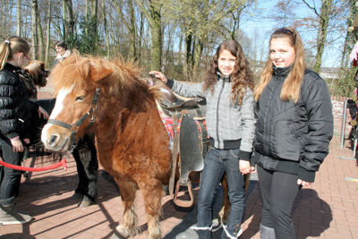 Foto 20 uit VoorjaarsMarkt19_3