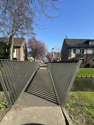 Foto 174 uit Rondje Beverwaard 2026