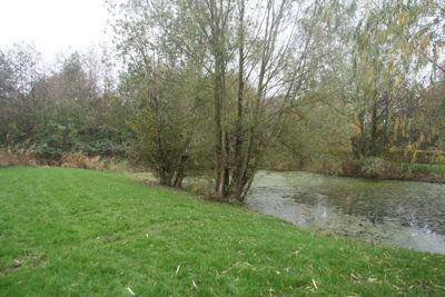 Foto 156 uit Herfst In Beverwaard