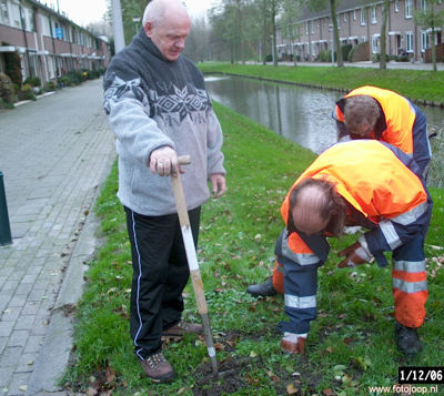 Foto 36 uit bloembollen planten