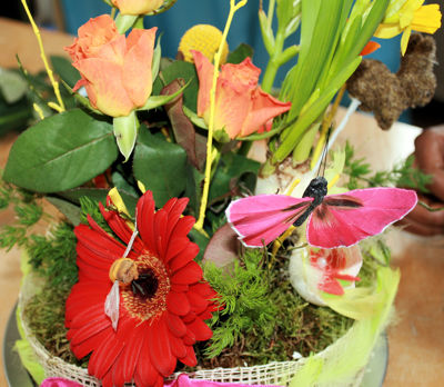 Foto 72 uit Rkregenboog25_3_09