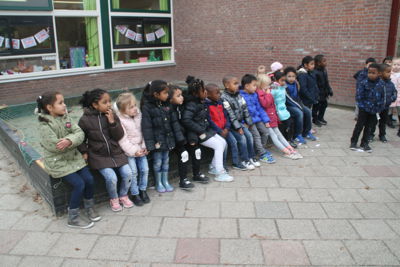 PCB DeParel Lekkerfit