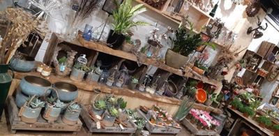 Foto 3 uit WorkShop Chantal