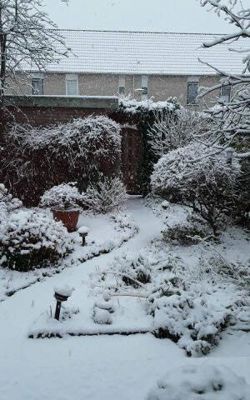 Foto 7 uit WinterIn Beverwaard_2