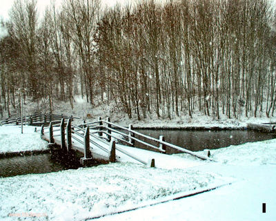 Foto 83 uit Foto's Beverwaard