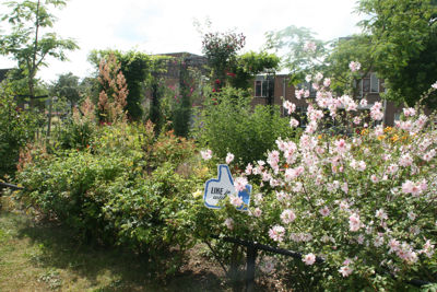 Foto 109 uit StratenBEVERWAARD