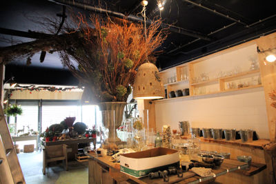 Foto 95 uit De Bloemenboetiek