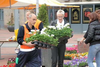 Foto 15 uit OpzoomerenPlantjes