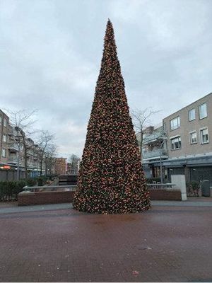 Foto 3 uit Grote Kerstboom WC
