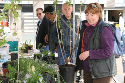 Foto 2 uit PlantenRuilBeurs24_4