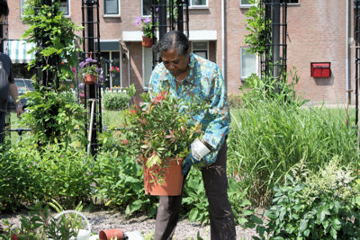 Foto 65 uit Tropische Tuin12_6