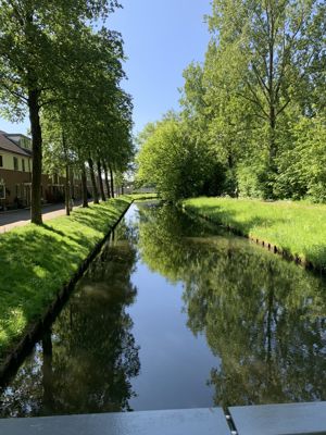 Foto 37 uit Rondje Beverwaard 2026