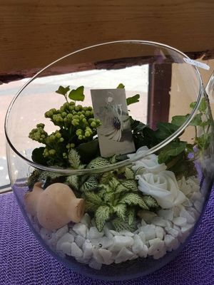 Foto 290 uit NeelyshaBloemen