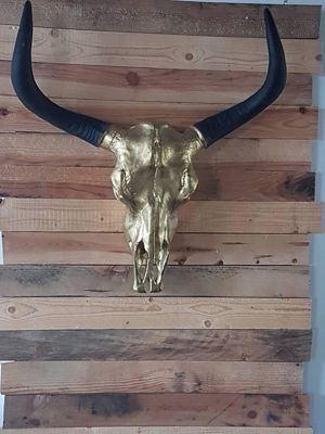 Foto 149 uit NeelyshaBloemen