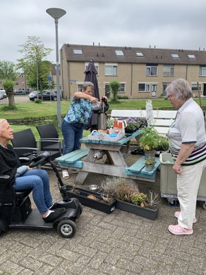 Foto 5 uit PlantenAlerdincksingel