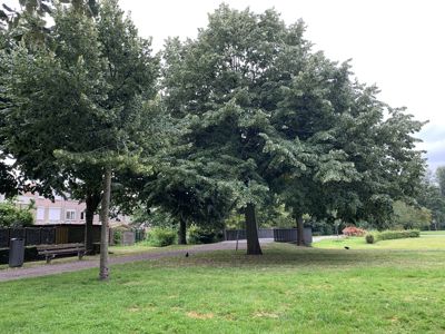 Foto 429 uit Rondje Beverwaard 2026