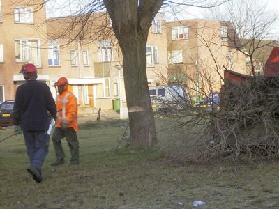 Foto 64 uit stratenmakers