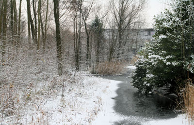 Foto 47 uit Kerst Beverwaard09