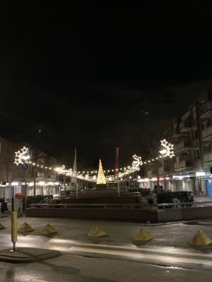 Foto 11 uit Grote Kerstboom WC