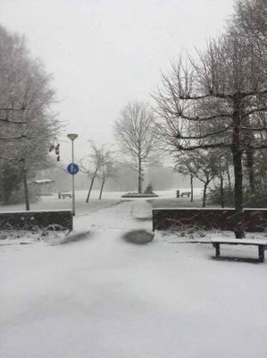 Foto 14 uit WinterIn Beverwaard_2