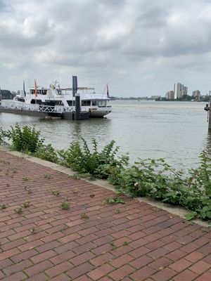 Foto 9 uit SchepenKijken Maas