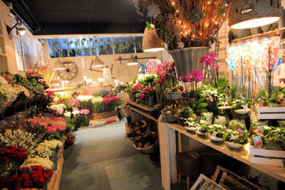 Foto 100 uit De Bloemenboetiek