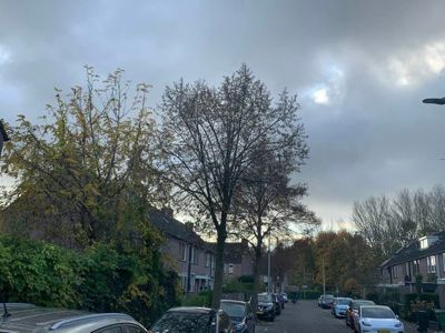Foto 82 uit X-Herfst Verschillende jaren  2026
