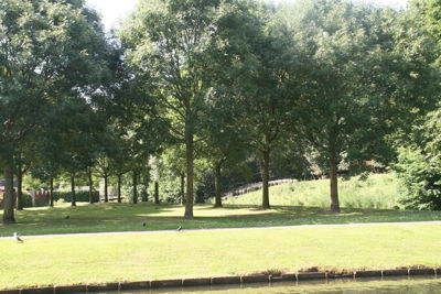 Foto 101 uit StratenBEVERWAARD