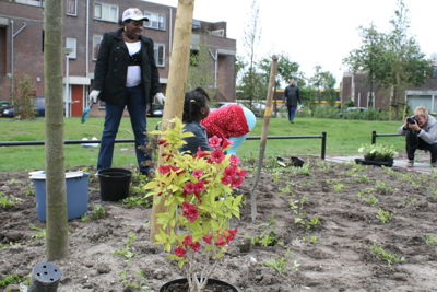 Foto 48 uit Tropische Buurttuin