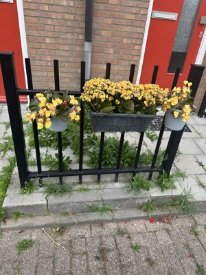 Foto 278 uit Rondje Beverwaard 2026