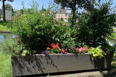 Foto 343 uit Rondje Beverwaard 2026