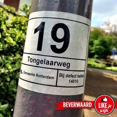 Foto 251 uit LIKEJEWIJK FOTO'S_2