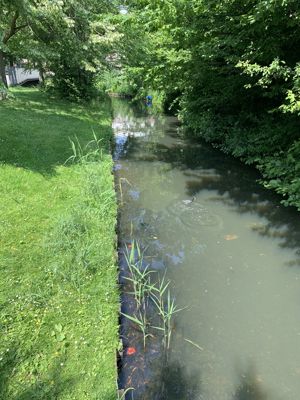 Foto 70 uit Rondje Beverwaard 2026