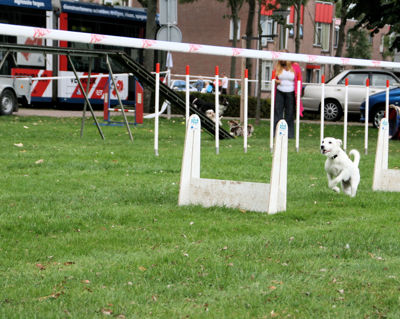 Foto 135 uit Wijkfeest12-09-2009