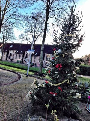 Foto 5 uit KERST BEVERWAARD