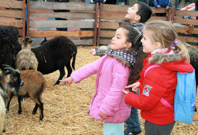 Foto 34 uit Sinterklaas 2009B.W