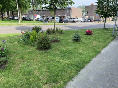 Foto 149 uit Rondje Beverwaard 2026