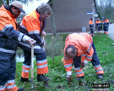 Foto 40 uit bloembollen planten