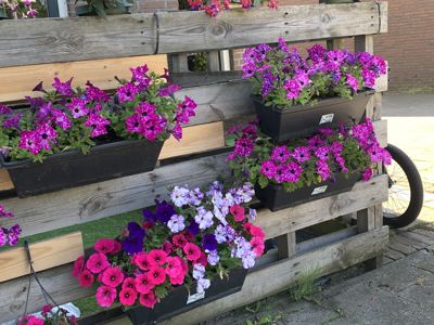 Foto 322 uit Rondje Beverwaard 2026