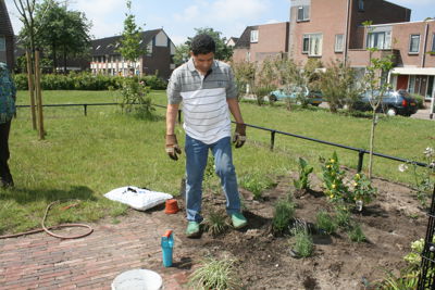 Foto 3 uit Tropische Tuin12_6