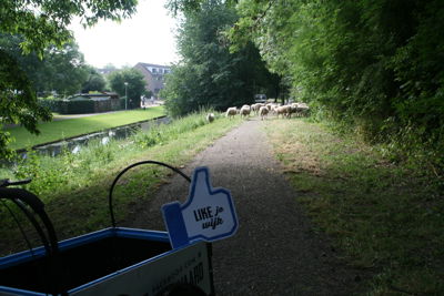 Foto 8 uit OpFotoinBeverwaard