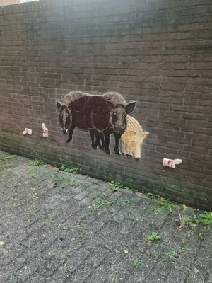 Foto 23 uit All Caps Muurschilderingen Beverwaard 2026