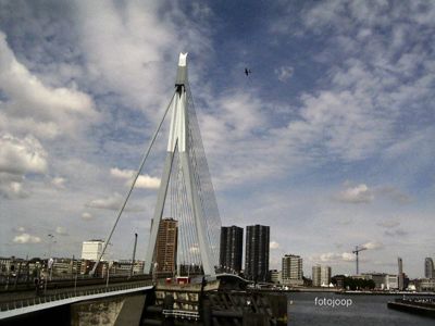 Foto 57 uit red bull air race r.dam