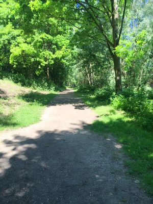 Foto 54 uit StratenBEVERWAARD