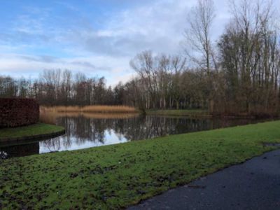 Foto 459 uit Rondje Beverwaard 2026