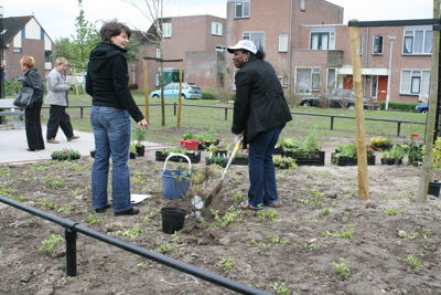 Foto 38 uit Tropische Buurttuin