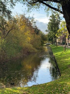 Foto 90 uit X-Herfst Verschillende jaren  2026