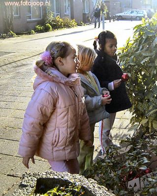 Foto 338 uit kerstdagen2005
