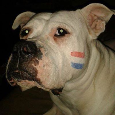 Foto 57 uit OranjeInBeverwaard