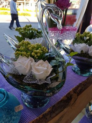 Foto 346 uit NeelyshaBloemen